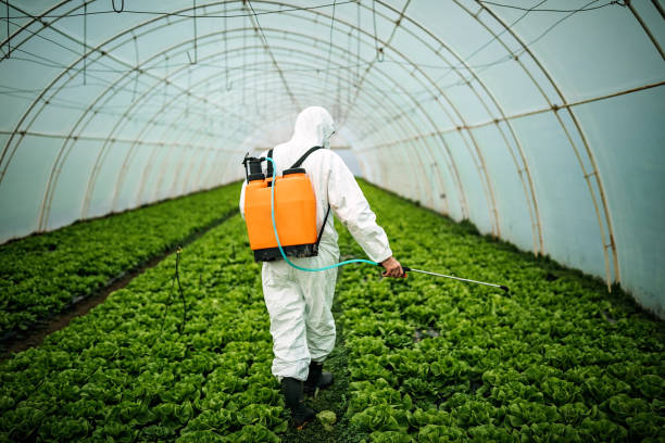 Best Best Pest Control Companies  in Zilwaukee, MI