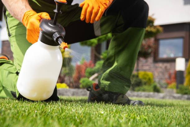 Insect Control in Zilwaukee, MI