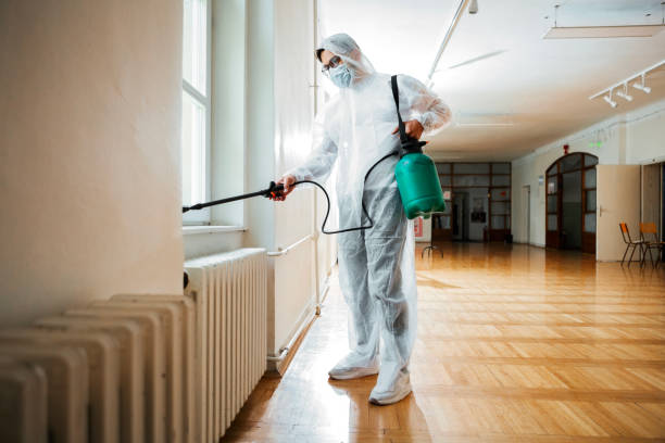 Best Flea Control Services  in Zilwaukee, MI