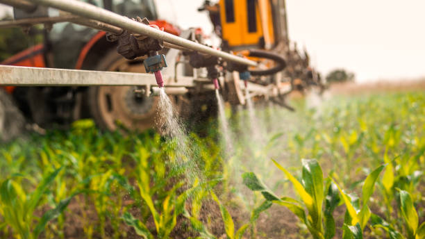 Best Insect Control  in Zilwaukee, MI